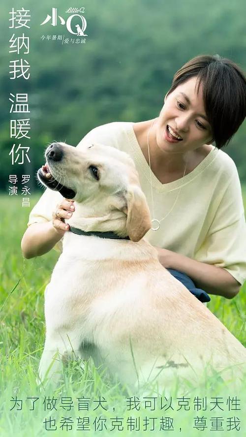 怎么买假的牙买加身份证
